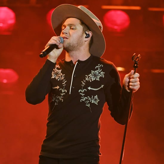 Niall Horan's 2017 American Music Awards Performance