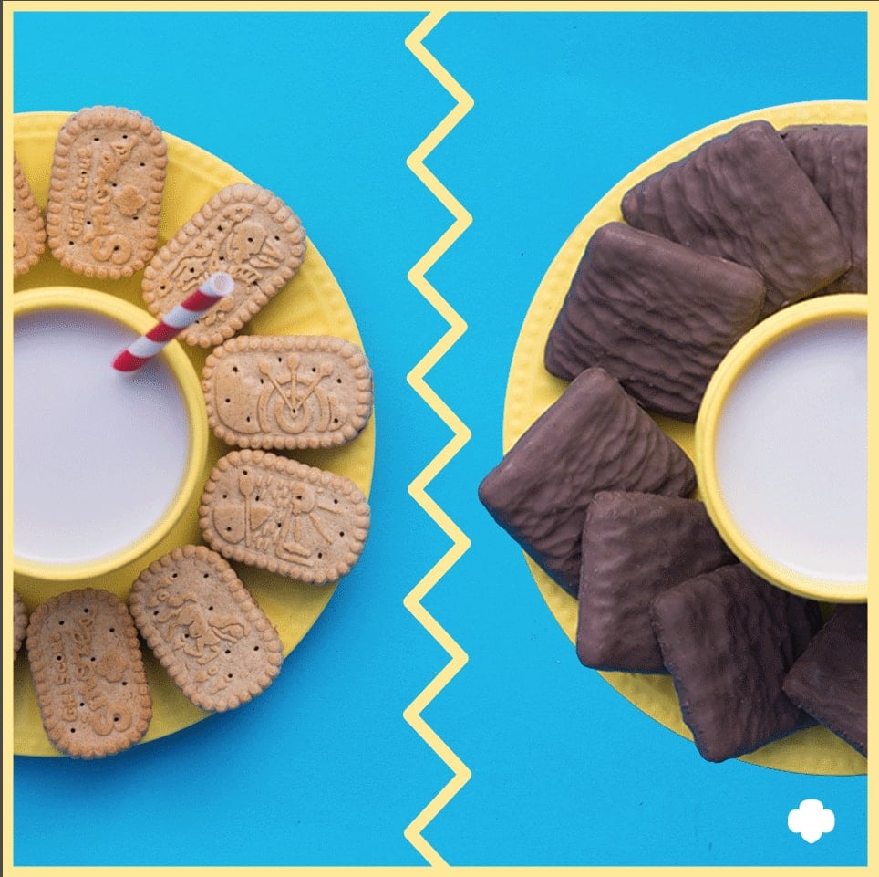 Girl Scout S'Mores Cookies