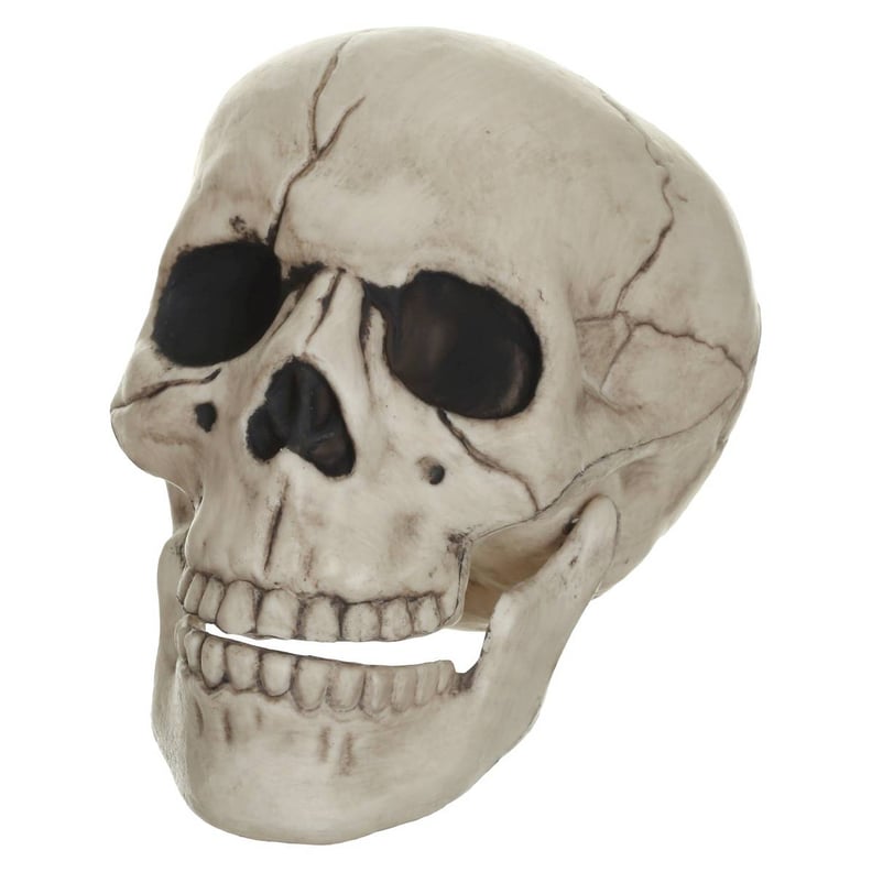 Posable Skull