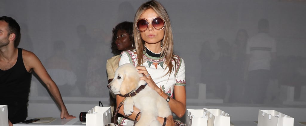 Dogs Sitting Front Row at Fashion Week Spring 2017