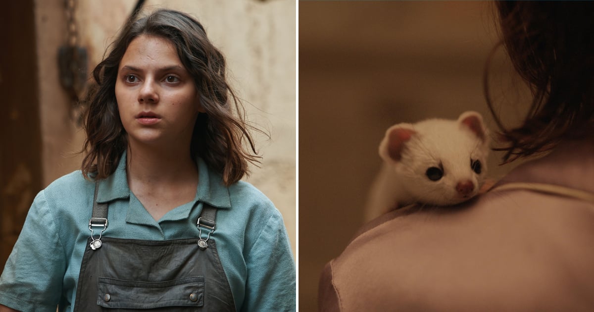Lyra Belacqua and Pantalaimon Who Are All of the Daemons on His Dark Materials? POPSUGAR