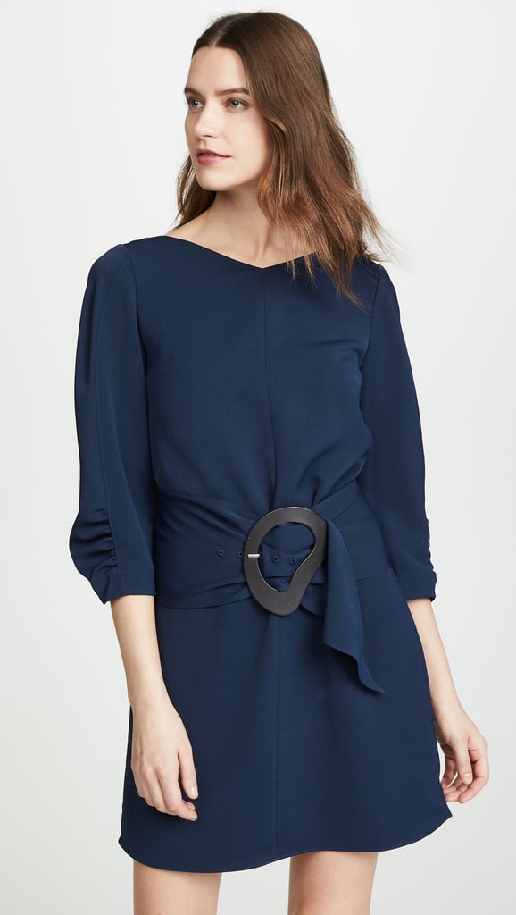 Tibi Shirred Sleeve Dress with Removable Belt