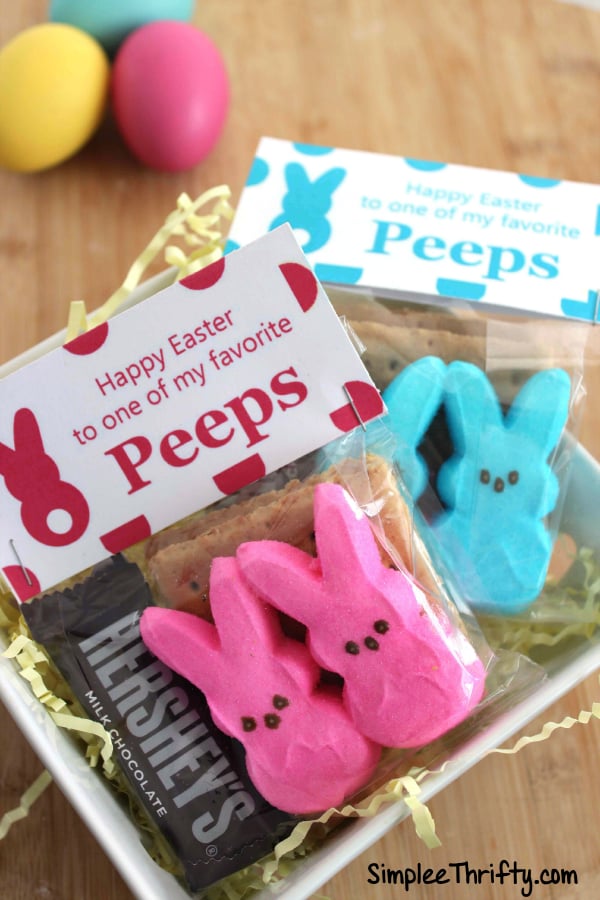 Packaged Treats