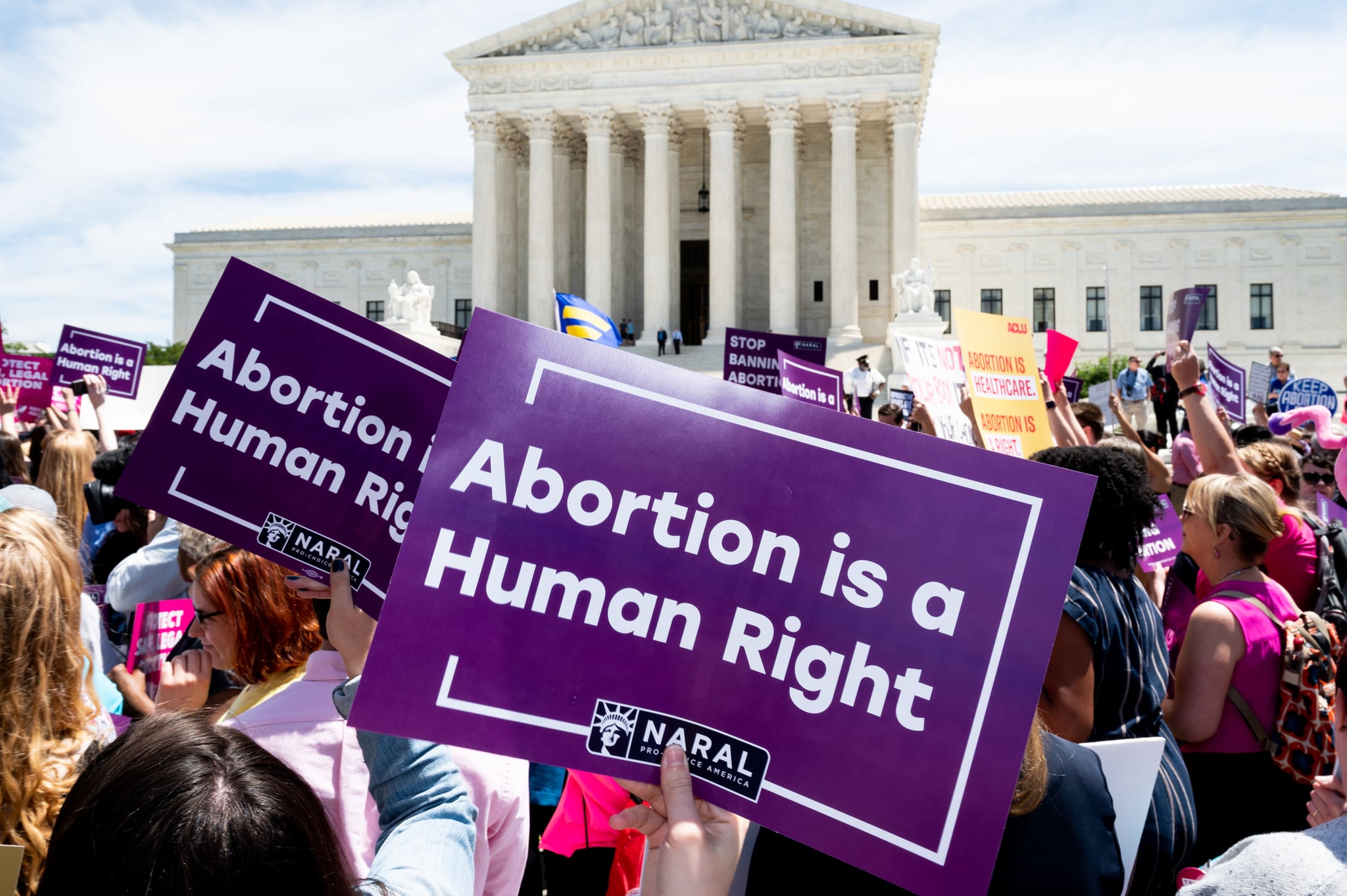 的一张布告上说,堕胎是一项人权