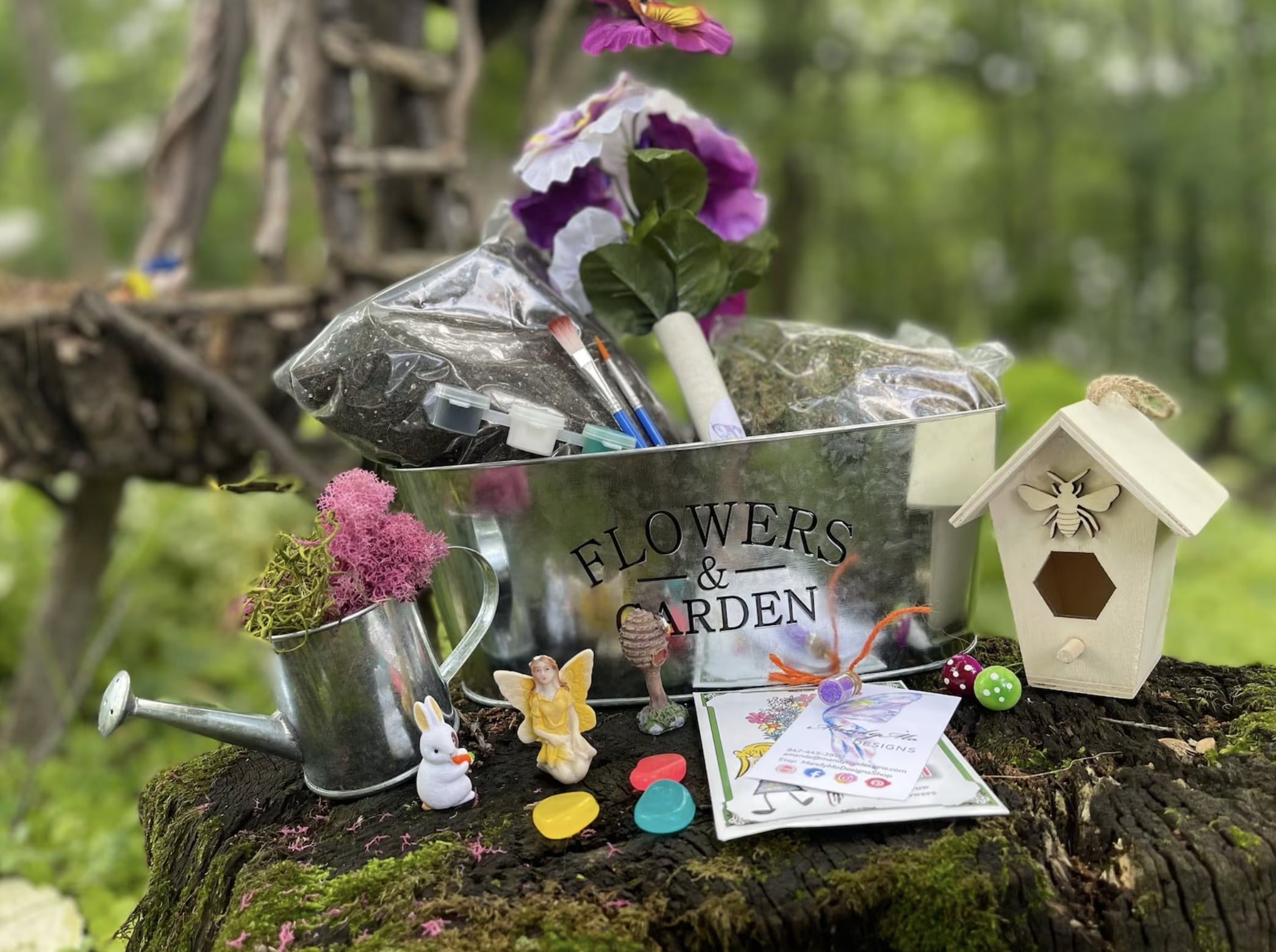 Buy Custom Fairy Garden Kits, Kids Garden, Indoor Garden,Fairy