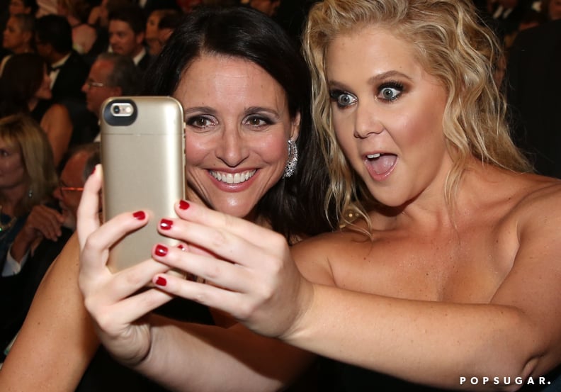 Julia Louis-Dreyfus and Amy Schumer