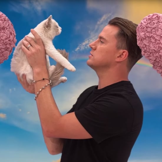 Channing Tatum Says Mean Things to a Kitten Video