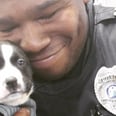 This Cop Was Just Doing His Job When He Found His Forever Friend