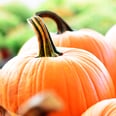 7 More Reasons to Love Pumpkin Even More This Fall Season