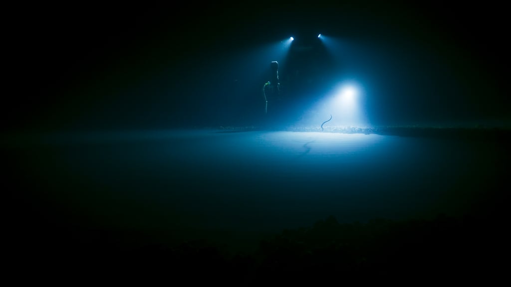 A hyper-saline lake deep in the Gulf of Mexico.