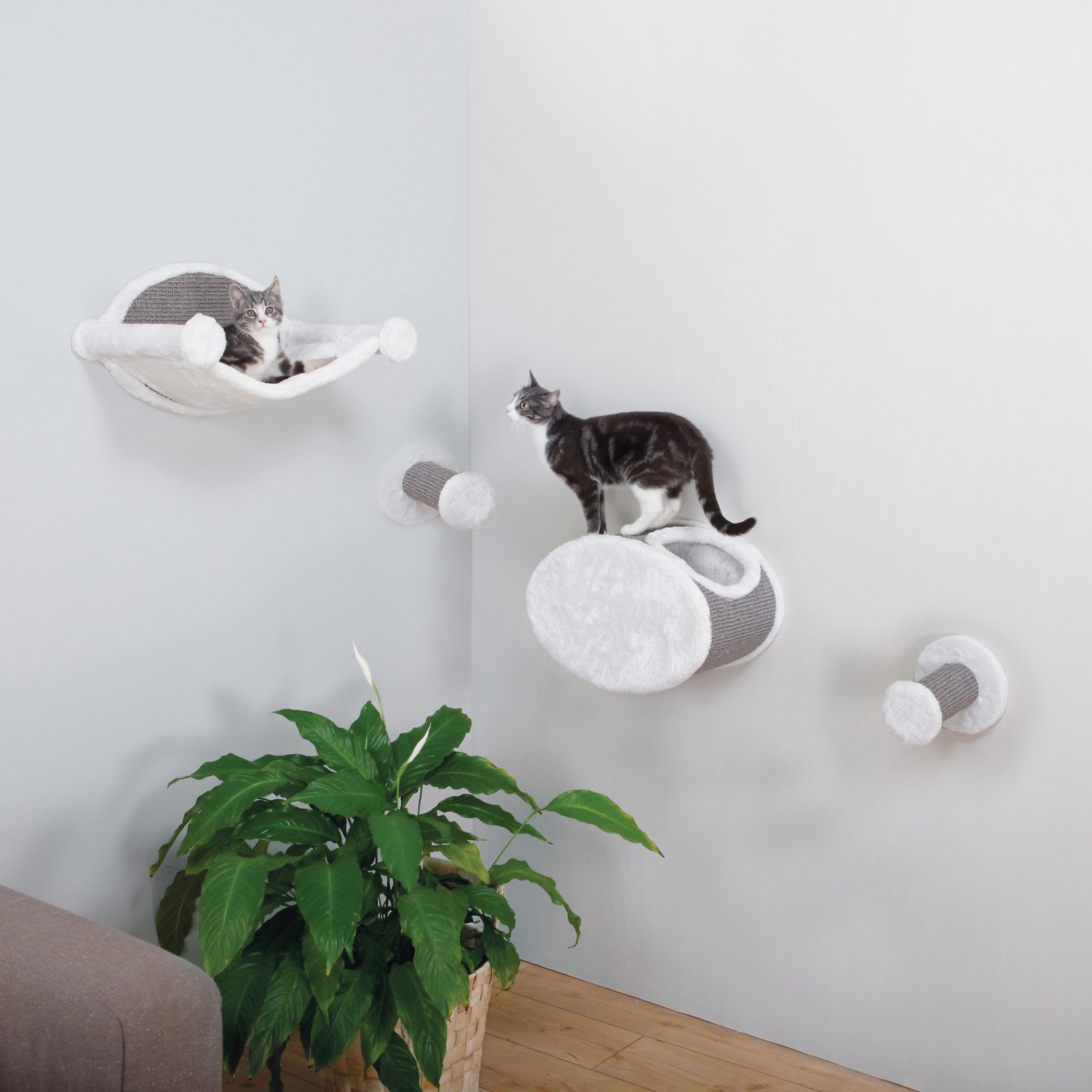Trixie pet products wall mounted cat shelf 2025
