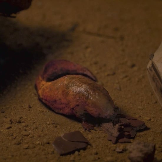 How Does Dart Get Into Dustin's Trash Can?