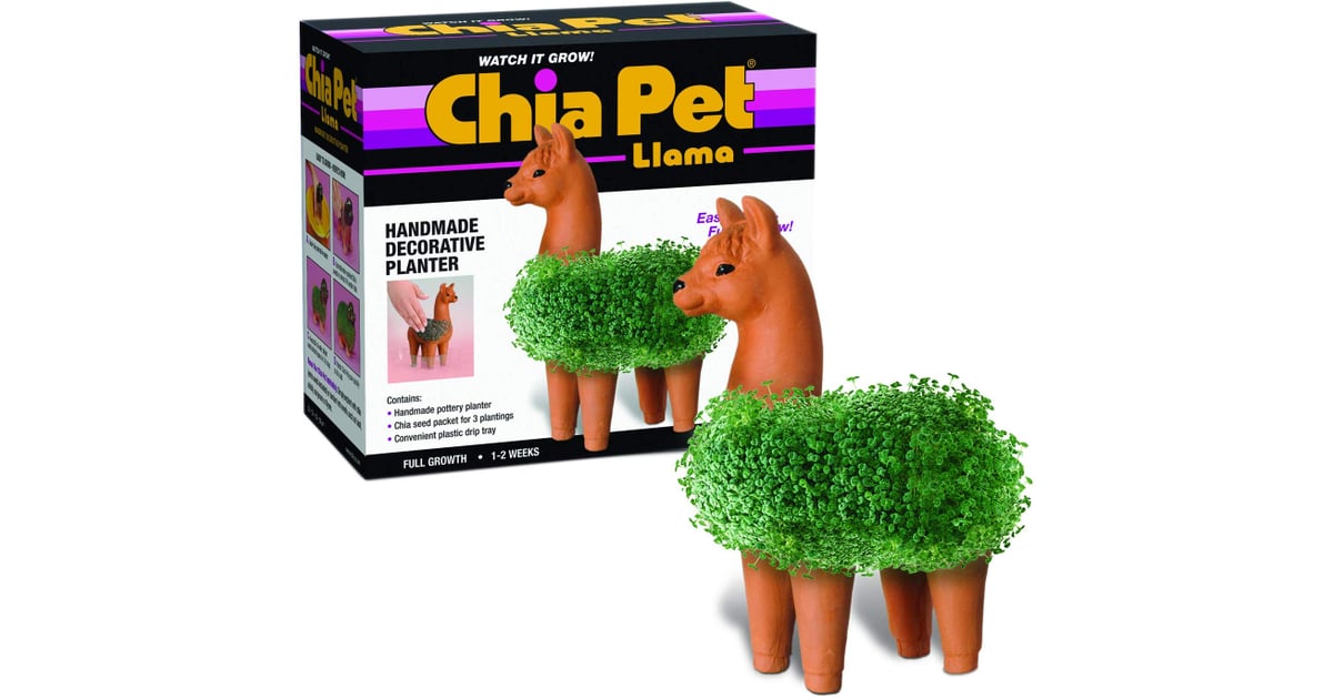 Chia Pet Llama Decorative Pottery Planter Best Gifts From Amazon