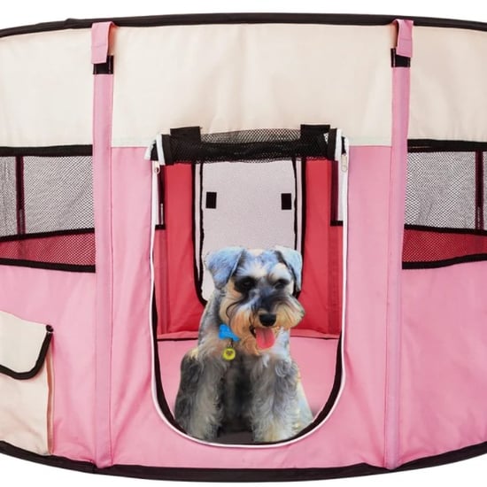 Best Playpens For Dogs