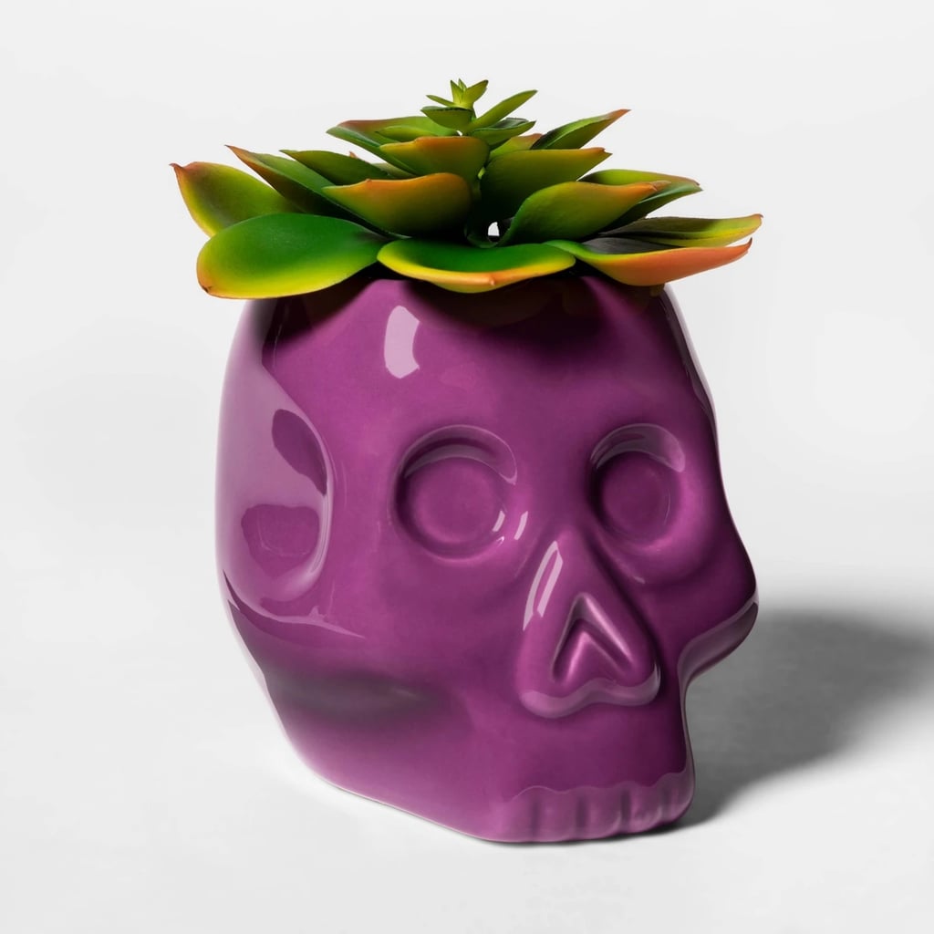 Skull Halloween Succulent