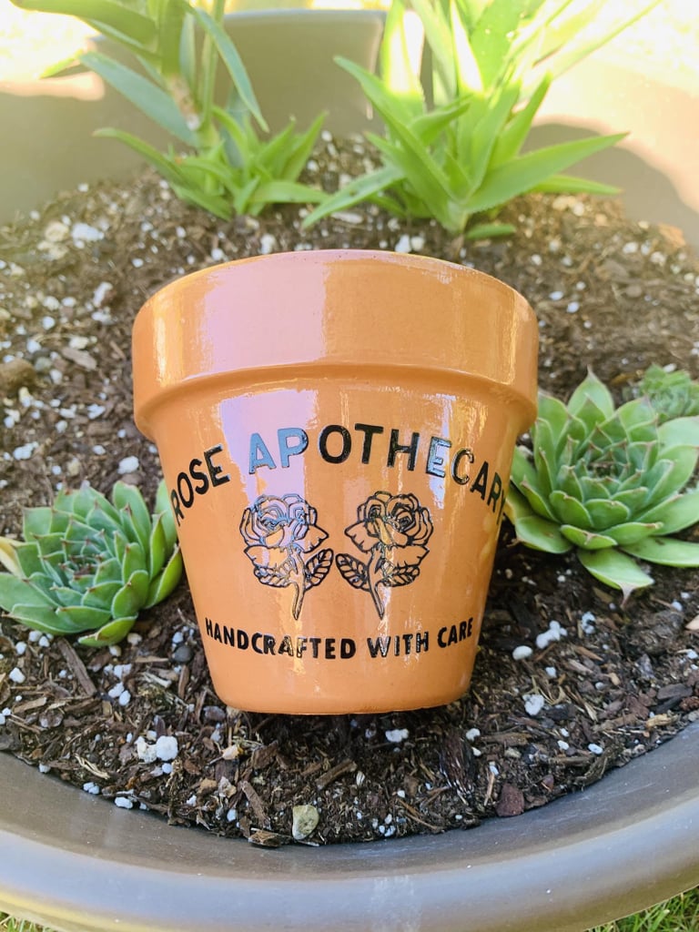 Schitt's Creek Rose Apothecary Terracotta Pot