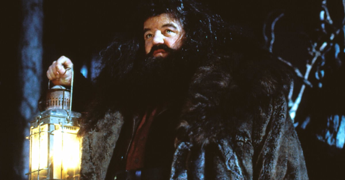 Newt Scamander and Hagrid Theory POPSUGAR Tech