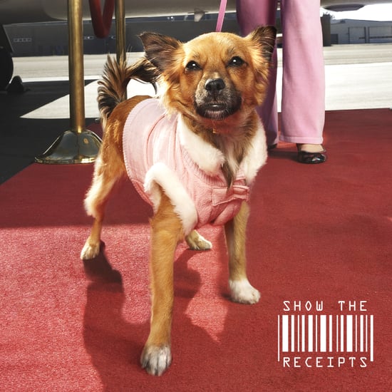 Cost of Being a Celebrity Pet Owner: Receipts