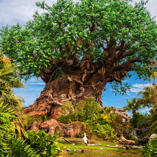 Ways Disney Parks Are Becoming More Sustainable