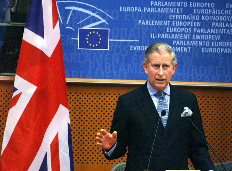 Prince Charles, 2008