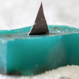 Lush Cosmetics Shark Fin Soap