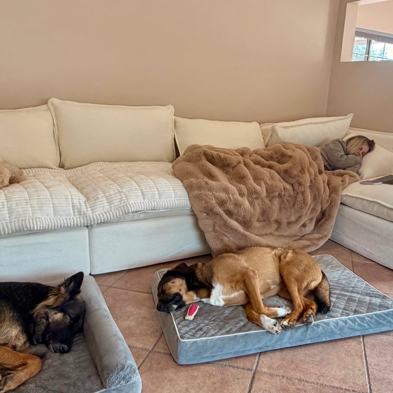 cozey gaia sofa