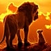 The Lion King Reboot Pictures