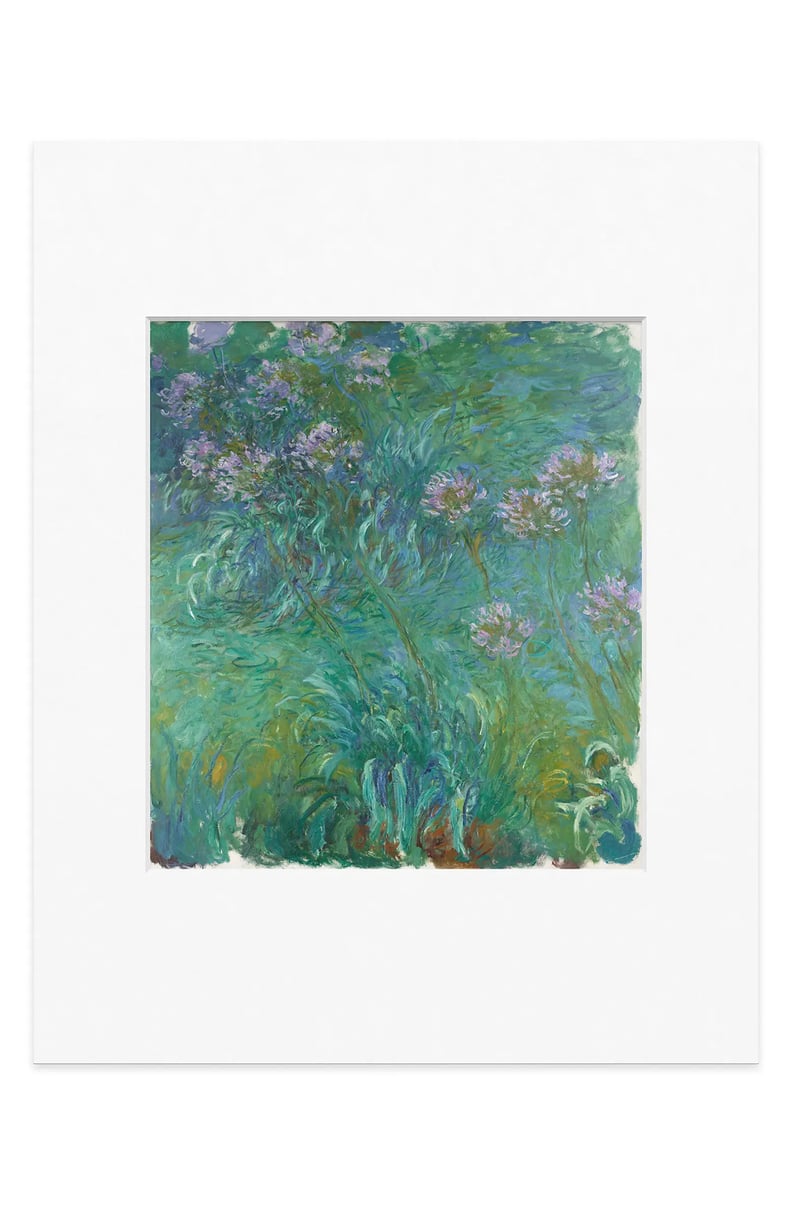 A Monet: MoMA Monet Agapanthus Print