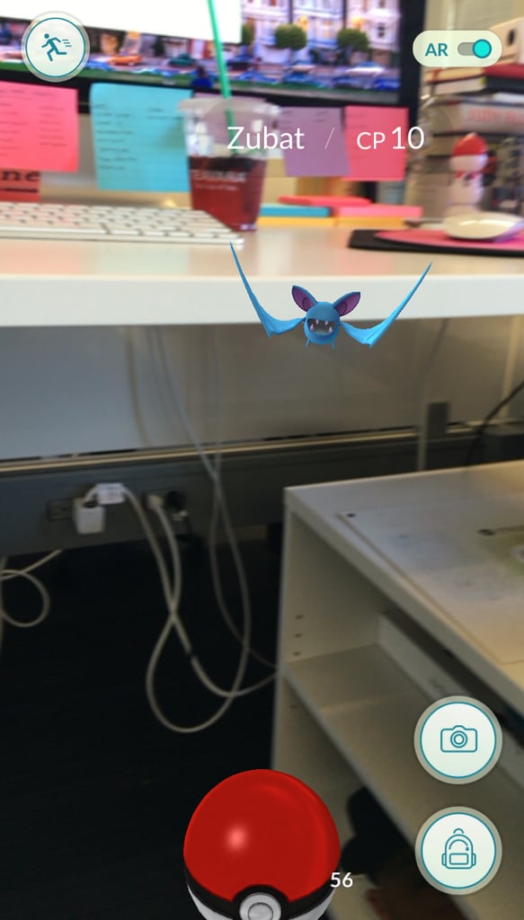 Catching a Pokémon is pretty easy to understand.