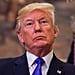Mueller Grand Jury For Trump Russia Probe Meme
