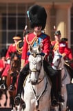 Here's Prince William Looking Like