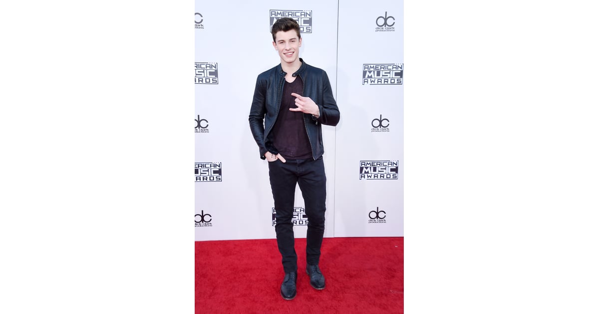 Shawn Mendes Latin Celebrities at the 2015 AMAs Red Carpet Pictures