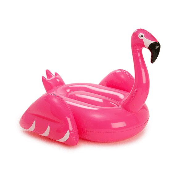 Inflatable Flamingo Pool Float 79 Celebrities With