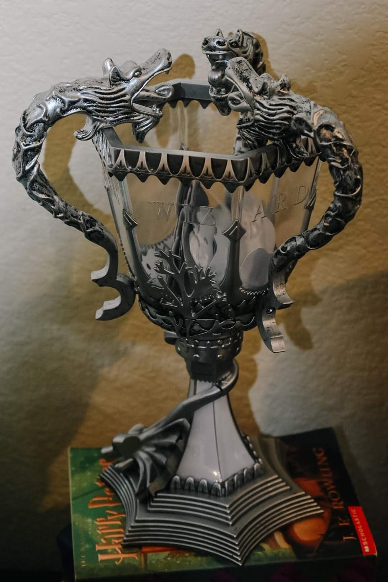 They Placed Their Entries in a Lifelike Triwizard Tournament Cup