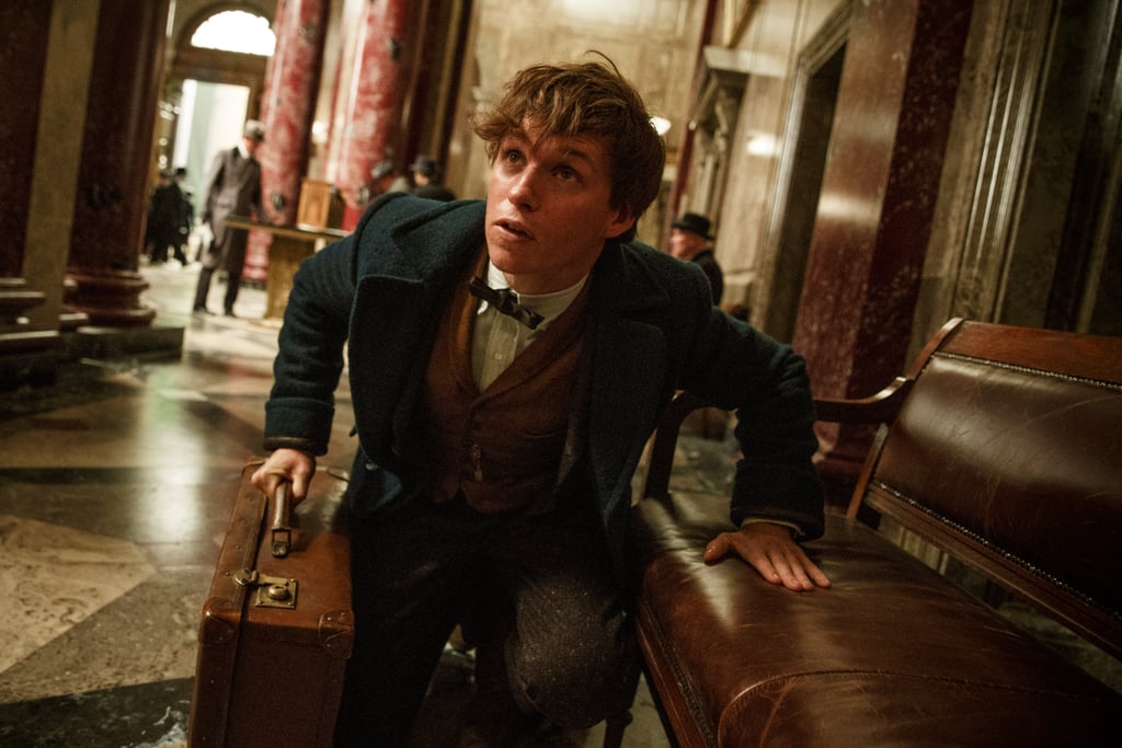 Fantastic Beasts and Where to Find Them Pictures