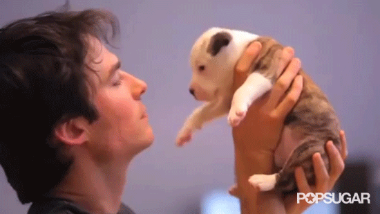 Ian Somerhalder Planting a Kiss on This Puppy