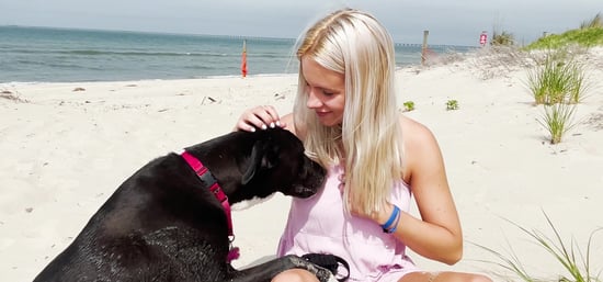 This Teen Has Fostered 50 Dogs