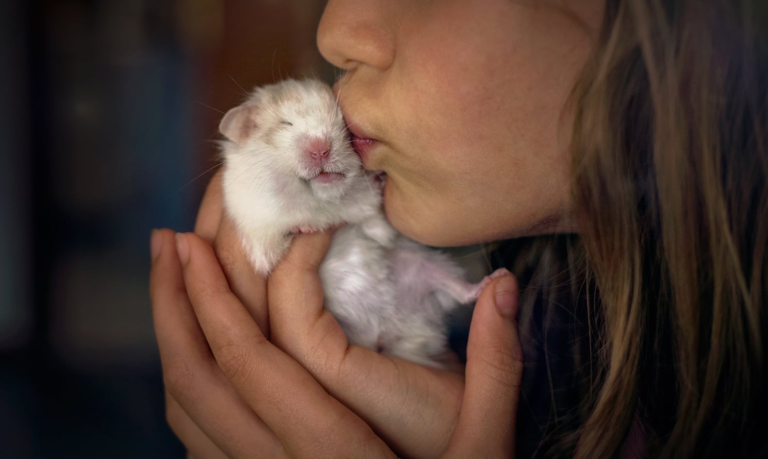 9 Best Small Pets For Cuddling POPSUGAR Pets