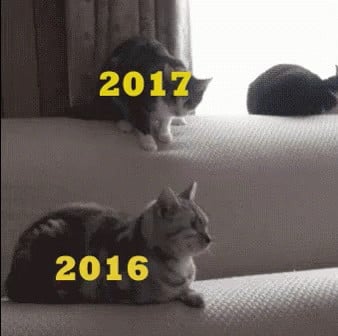 Most Popular GIFs of 2017 on Tenor