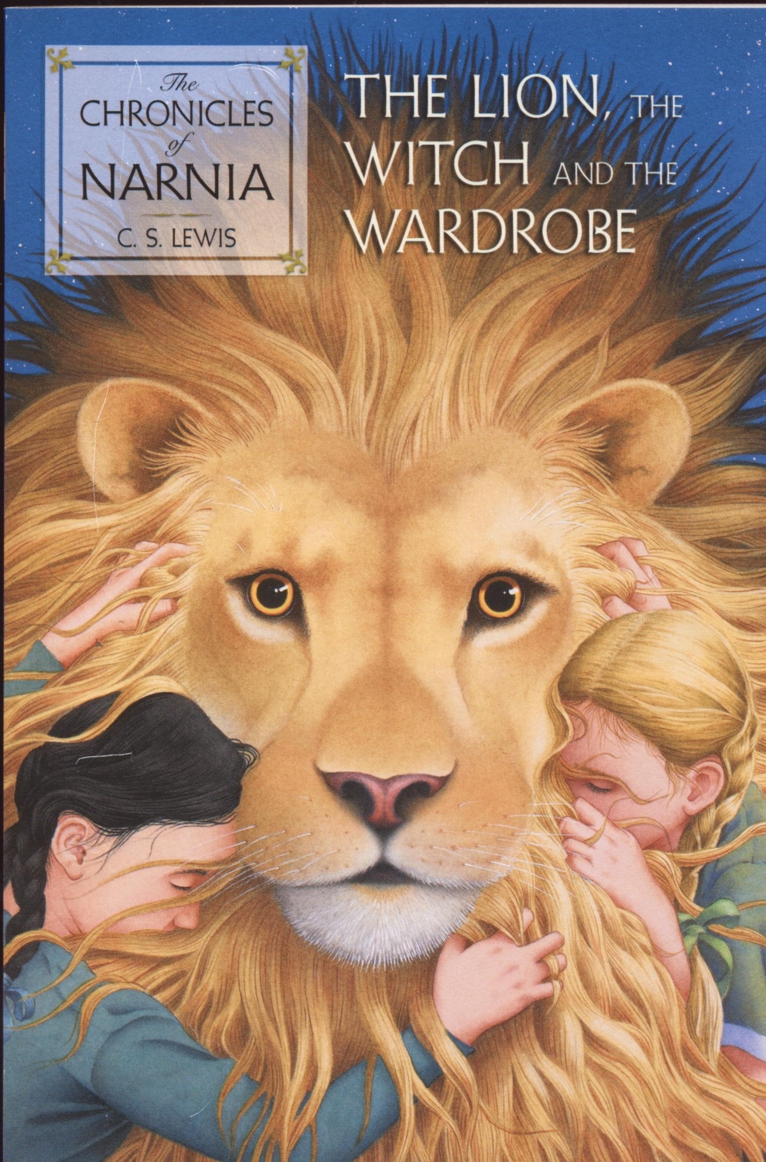 For 8 Year Olds The Lion The Witch And The Wardrobe By C S