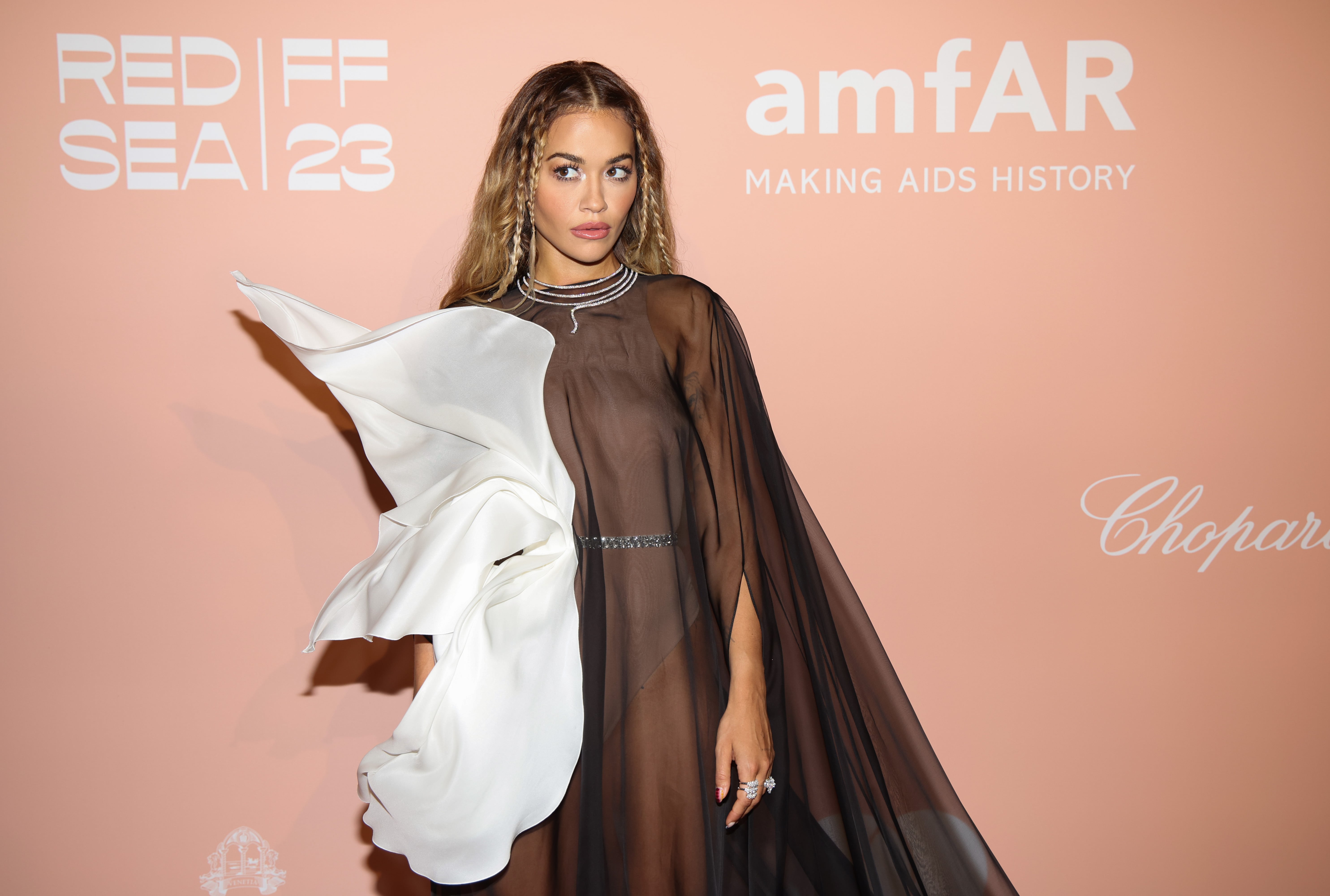 Rita Ora's Sheer Stéphane Rolland Dress at AmfAR in Venice