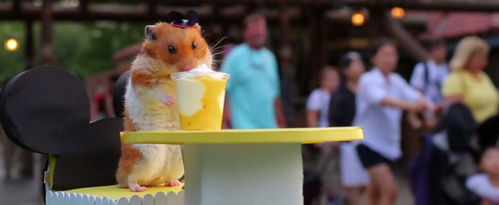 Tiny Hamster Goes to Disney World