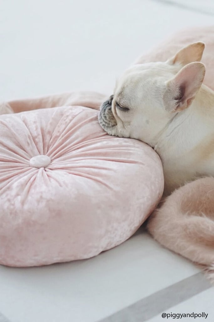 Forever 21 Round Velvet Throw Pillow