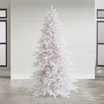 White Iced Fir Tree