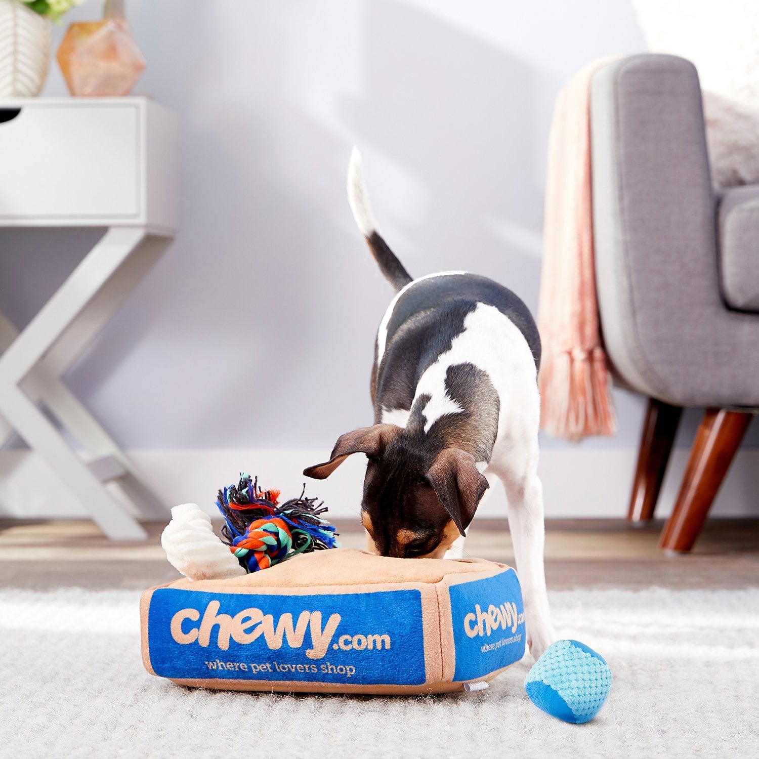 Chewy clearance dog puzzle