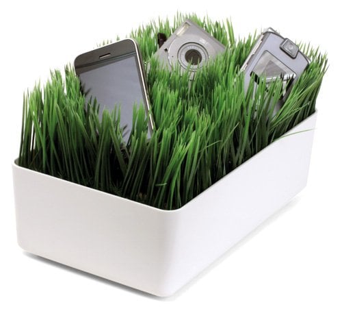 Green Grass Charging Station