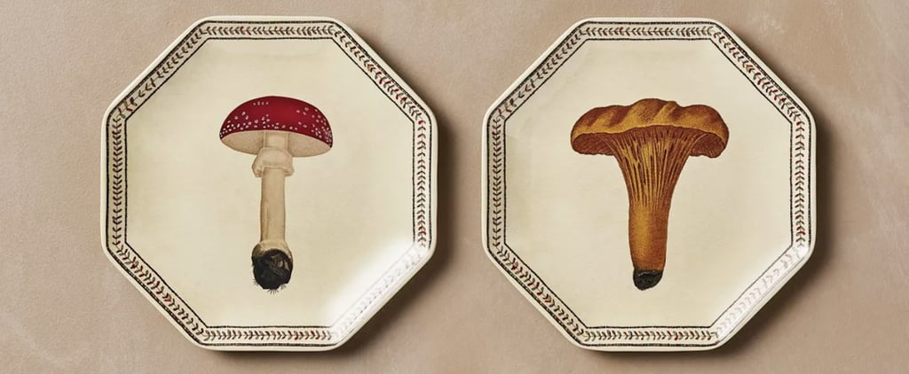 Shop Target's Mushroom-Inspired Fall Collection