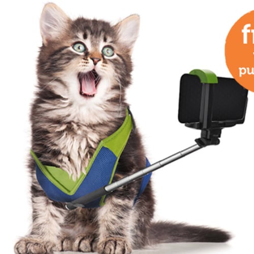 Pet Selfie Stick