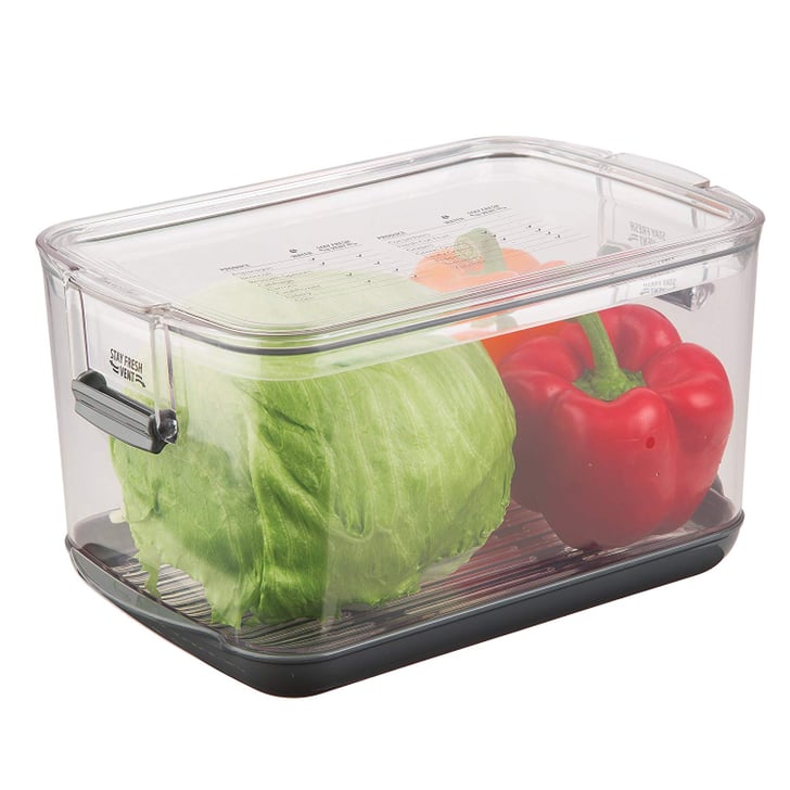 Prepworks by Progressive Produce ProKeeper Storage Container Best