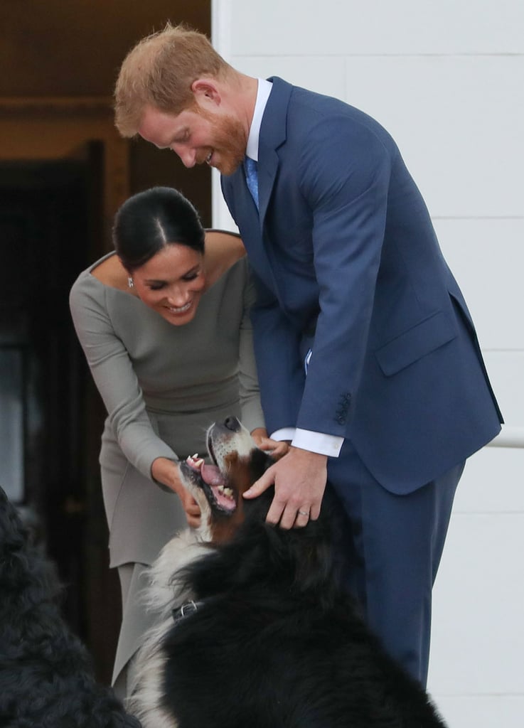 بدا الأمير هاري وميغان ظريفين جدّاً عندما قاما بمداعبة كلب الرئيس مايكل هيجنز أثناء زيارتهما لأيرلندا في شهر يوليو من عام 2018.